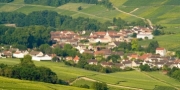 vign paysage vignoble