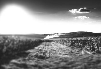 Background6